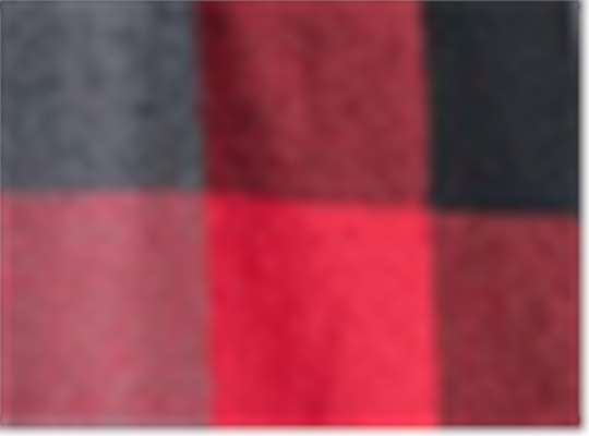 Swatch for Plaid Red