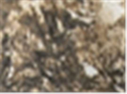 Swatch for Realtree Edge