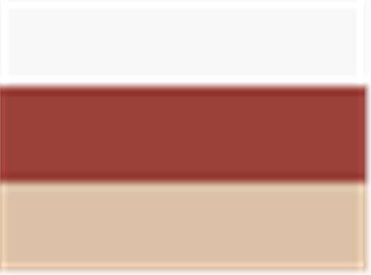 Swatch for White/ Rust/ Stone