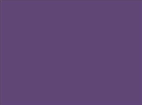 Swatch for Team Purple