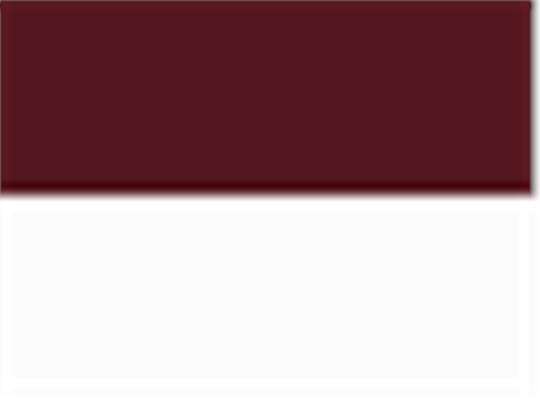 Swatch for Sport Maroon/ White
