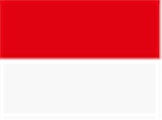 Swatch for Sport Red/ White