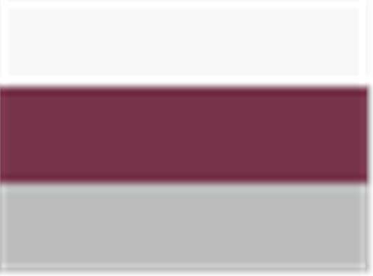 Swatch for White/ Burgundy/ Silver