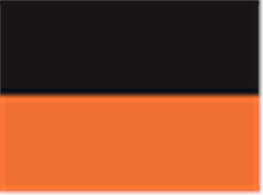 Swatch for Black/ Orange