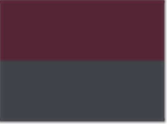 Swatch for Burgundy/ Carbon