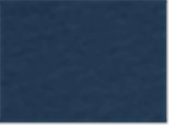 Swatch for Navy