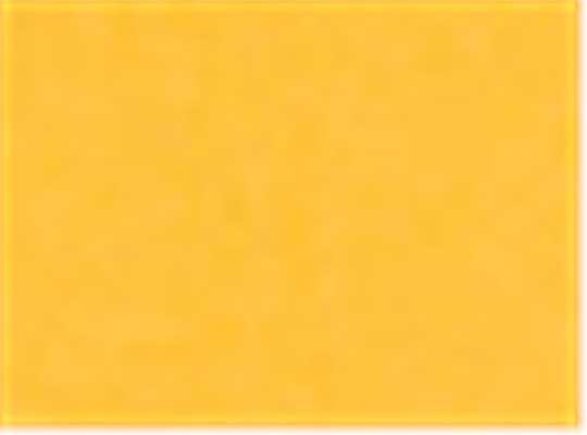 Swatch for Campus Gold