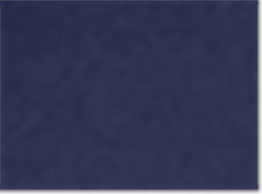Swatch for Navy