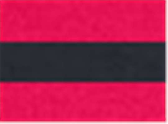 Swatch for Red/ Navy/ Red