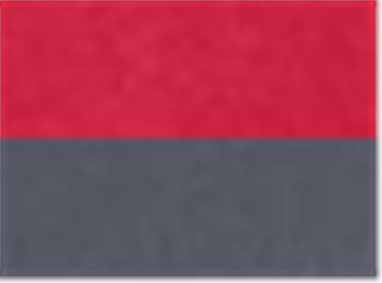 Swatch for Classic Red/ Carbon