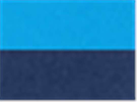 Swatch for Electric Blue/ Classic Navy