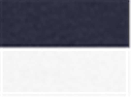 Swatch for Navy/ White