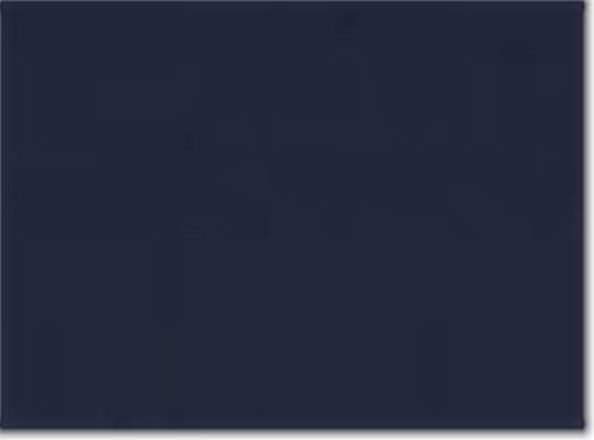 Swatch for Navy