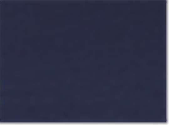Swatch for Navy