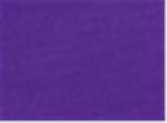 Swatch for Campus Purple