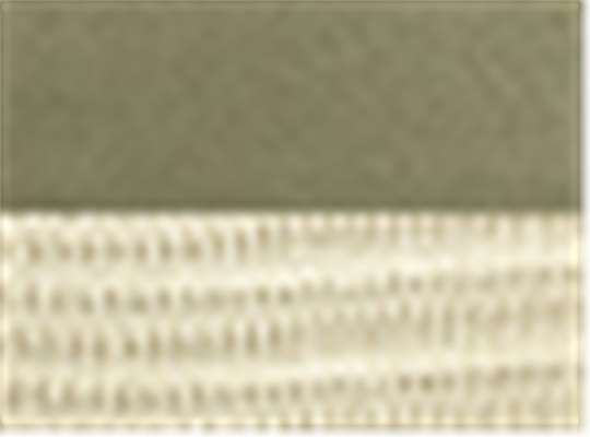 Swatch for Jungle/ Oyster