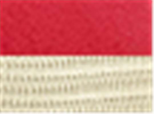 Swatch for Red/ Oyster