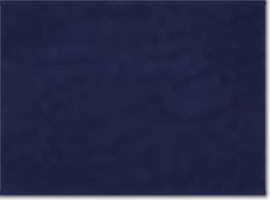 Swatch for Classic Navy