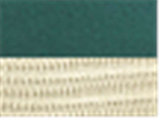 Swatch for Emerald Forest/ Oyster