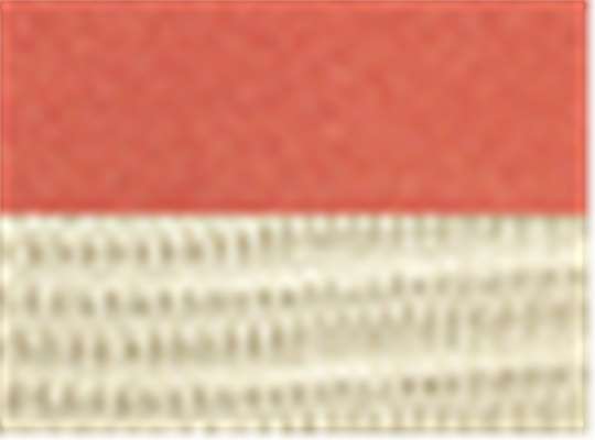 Swatch for Orange Poppy/ Oyster