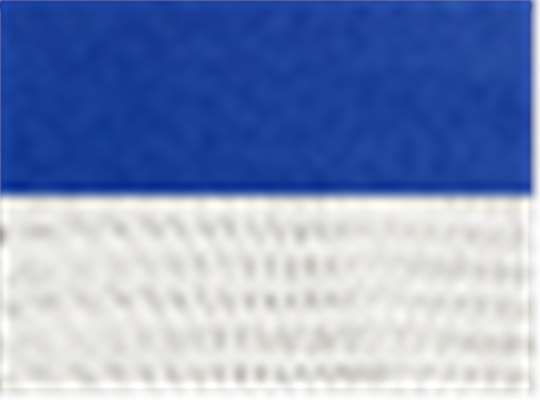 Swatch for Royal/ White