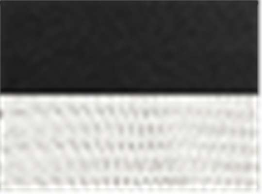 Swatch for Black/ White