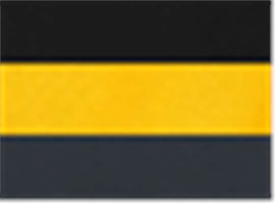 Swatch for Black/ Sunray Yellow/ Dark Charcoal