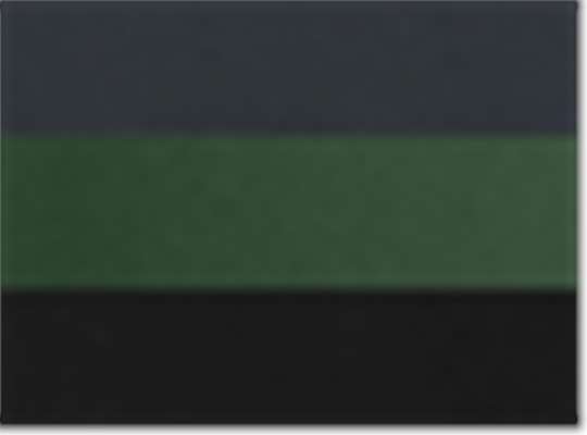 Swatch for Dark Charcoal/ Dark Green/ Black