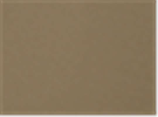Swatch for Coyote Brown