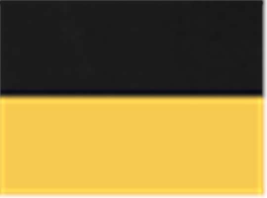Swatch for Black/ Sunray Yellow