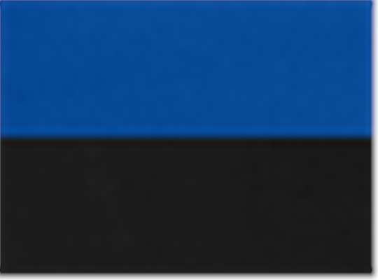 Swatch for True Royal/ Black