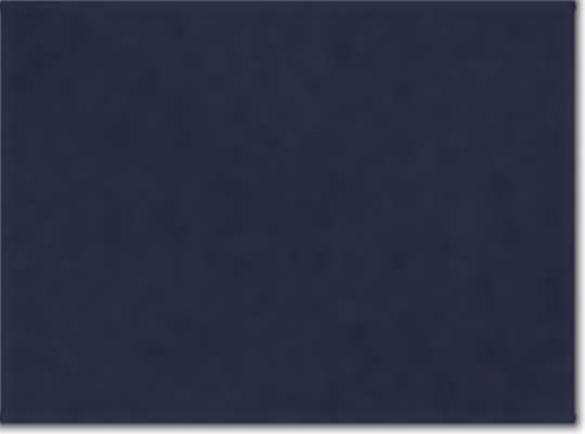 Swatch for Navy