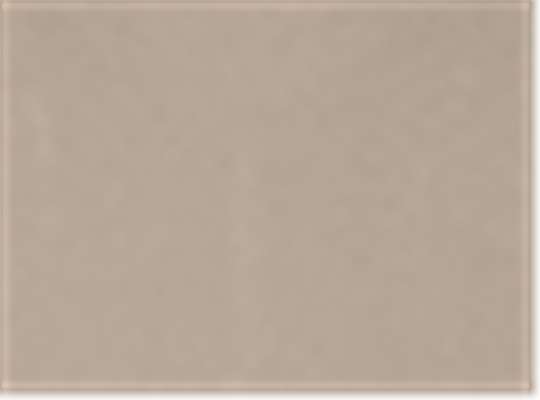 Swatch for Desert Khaki