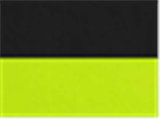 Swatch for Black/ Safety Yellow