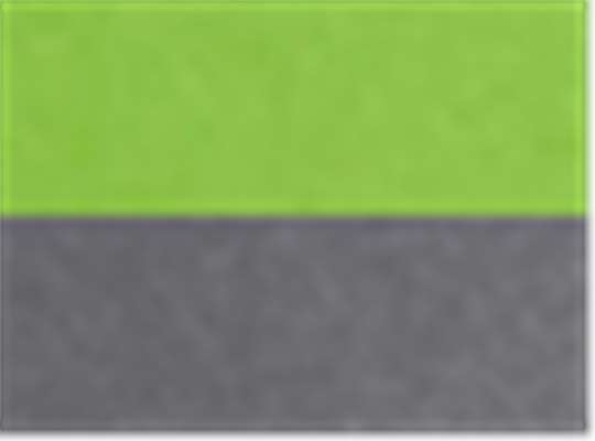Swatch for Acid Green/ Carbon