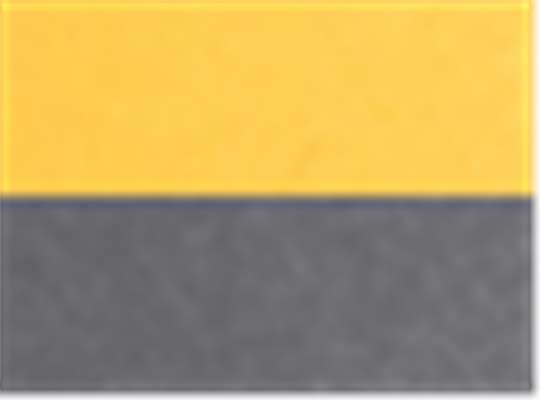 Swatch for Campus Gold/ Carbon