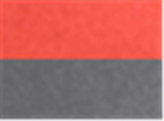 Swatch for Campus Orange/ Carbon