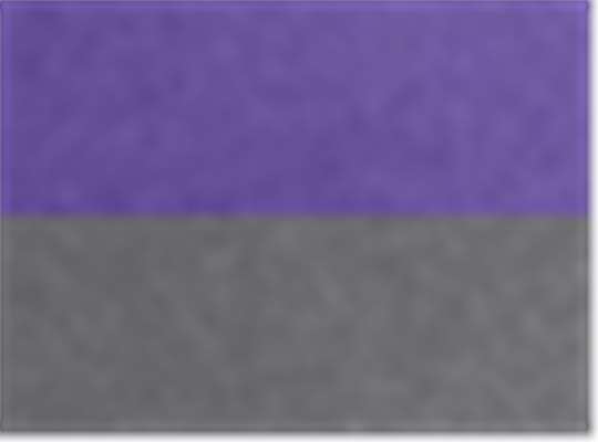 Swatch for Campus Purple/ Carbon
