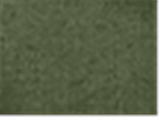 Swatch for Olive