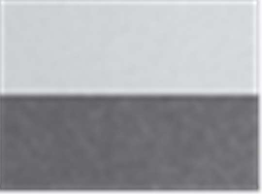 Swatch for Platinum/ Carbon