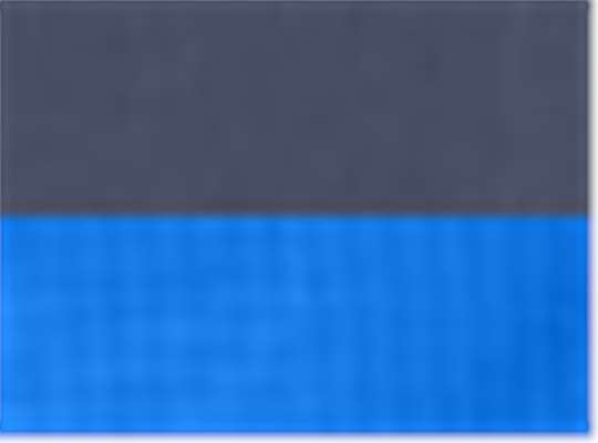 Swatch for Classic Navy/ True Royal