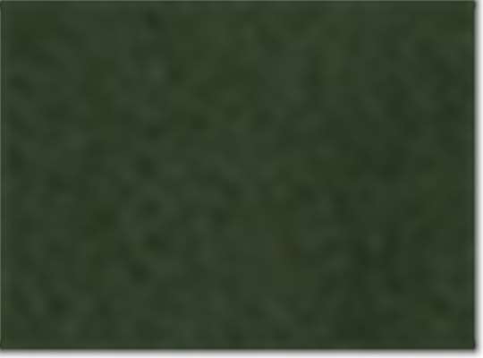 Swatch for Forest