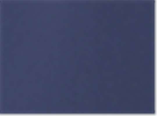 Swatch for Naval Academy