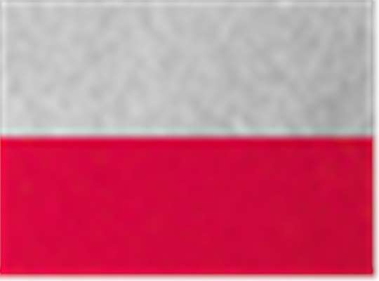 Swatch for Athletic Heather/ Sport Red