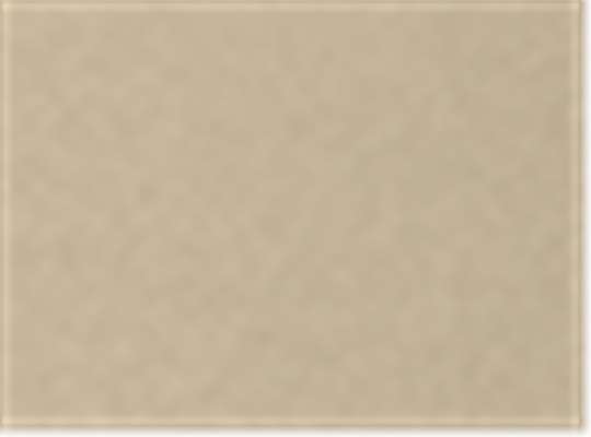 Swatch for Desert Khaki