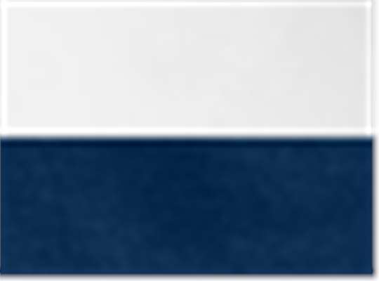 Swatch for White/ Sport Dark Navy Heather