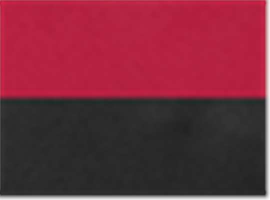 Swatch for Sport Red/ Black