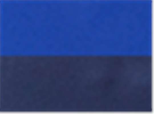 Swatch for Sport Royal/ Sport Dark Navy