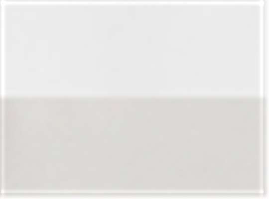 Swatch for White/ Sport Silver