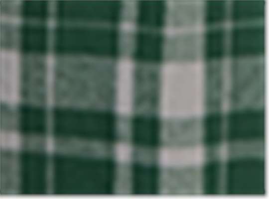 Swatch for Green Jordan Plaid